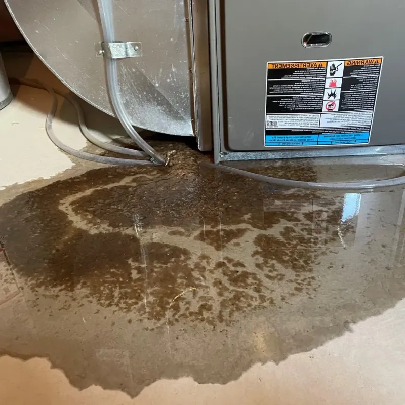Pipe Burst and Leak Restoration in Orchard Park, NY